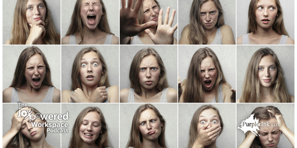 Episode 232 Emotions at Work